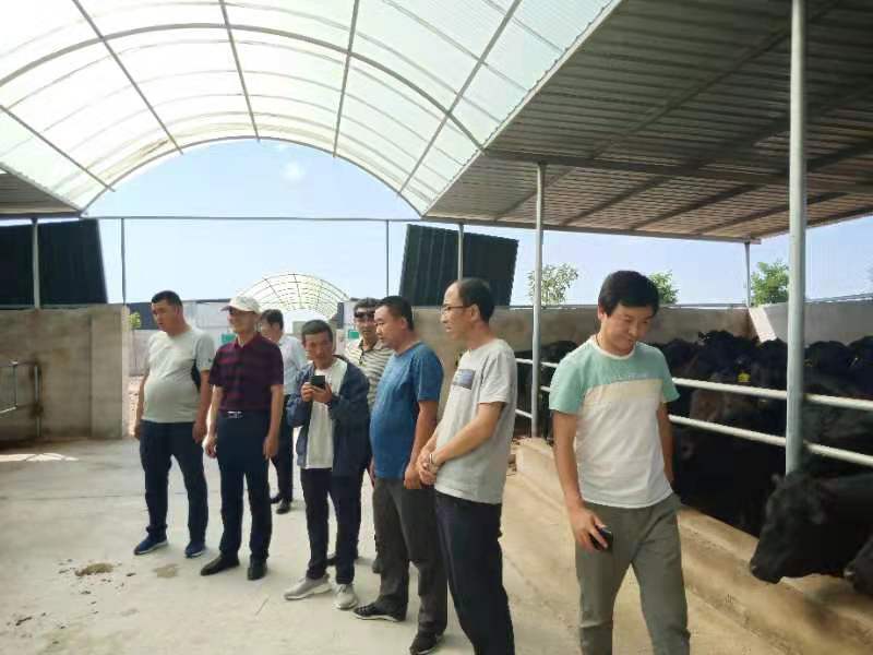 农工党甘肃省委员会组织业仁村养殖专业户赴武威开展观摩学习和主题教育活动